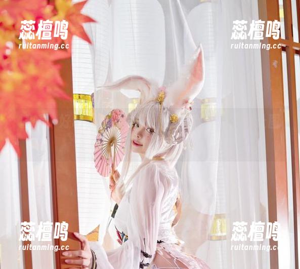 啧啧，好吧，NinJa阿寨寨的肉丝分享，让图库忙得不可开交！