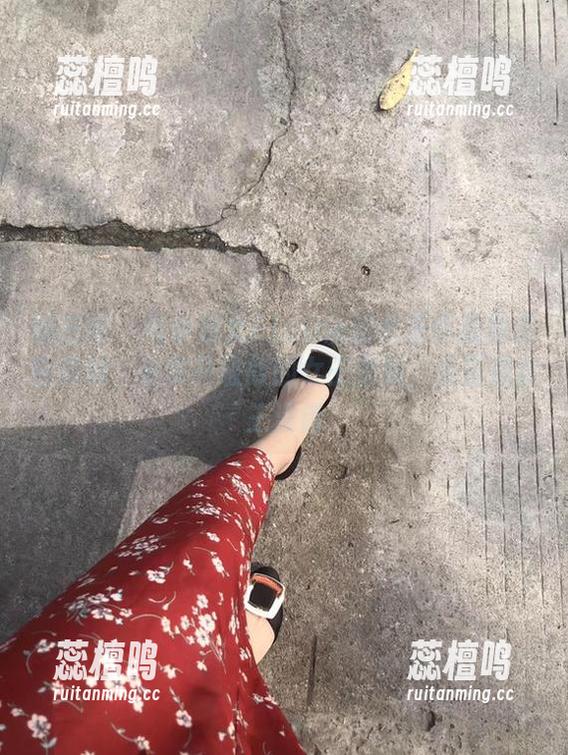 小仙女ELaine 微密圈 - 与小仙女ELaine的女王作品集亲密接触,分享升级版的女王游戏,反正是女王没错