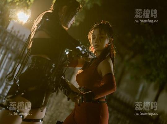 秋和柯基 增加壁纸效益,秋和柯基的温柔合集让你心情UPUP!
