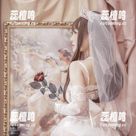 图库新鲜出炉，脱尾巴Mizuki带你畅游赛博朋克未来，等你来下载！